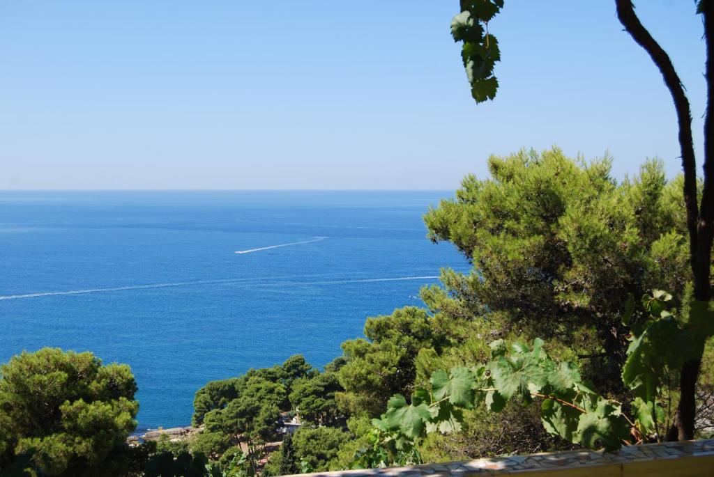 Sun Apartments Ulcinj Bagian luar foto